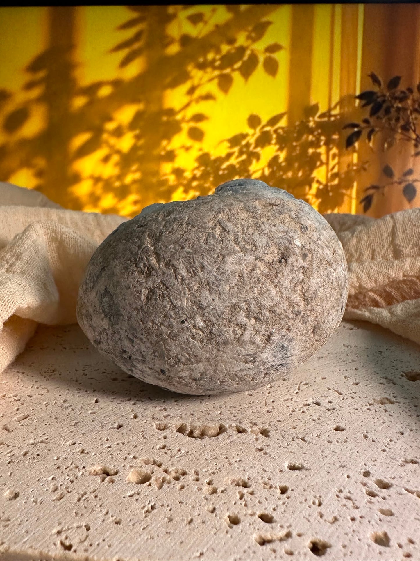Geode di Celestite | Pezzo unico
